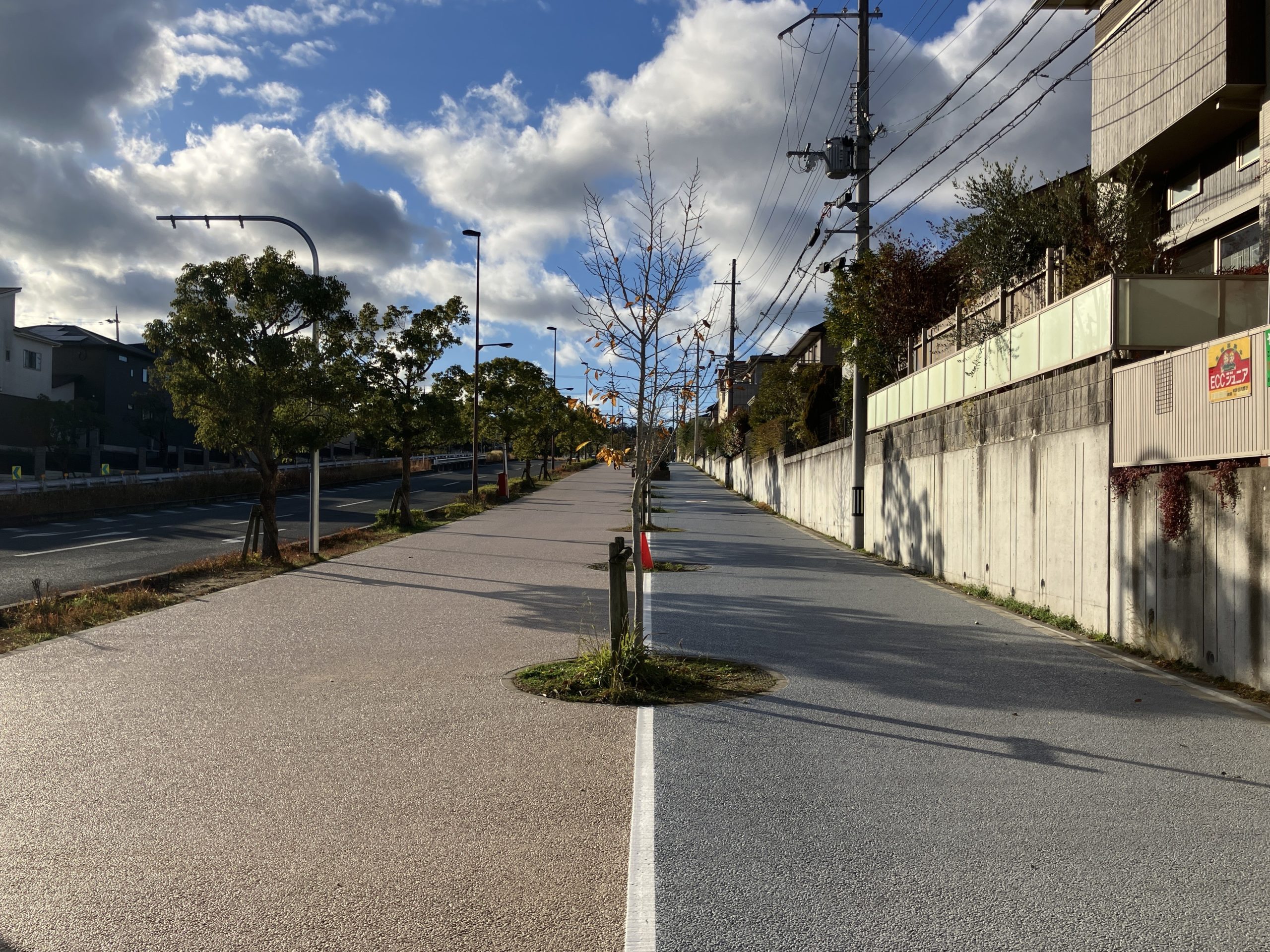 令和7年度南田辺狛田中央線歩道舗装修繕（その1）工事